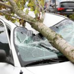 stormschade auto